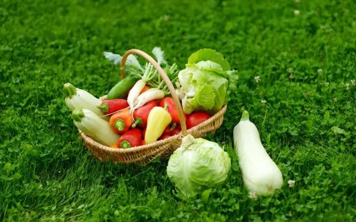 绿色食品指什么食品？绿色食品认证需要什么条件？常见的绿色食品都有哪些？